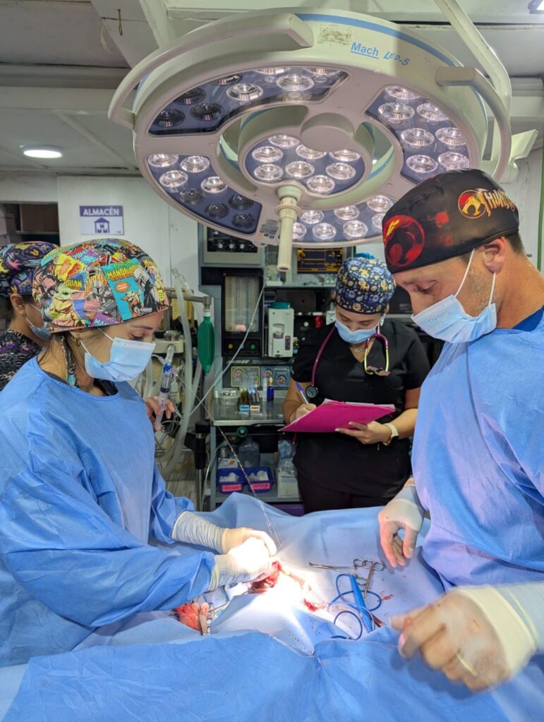 Pabellón quirúrgico del Centro Veterinario de Especialidades Cafati en La Reina